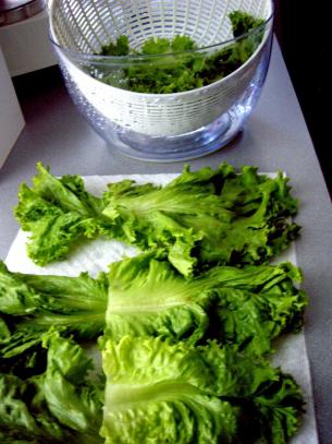 Washing Lettuce - Start Cooking