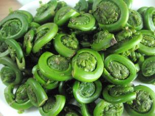 Fiddlehead