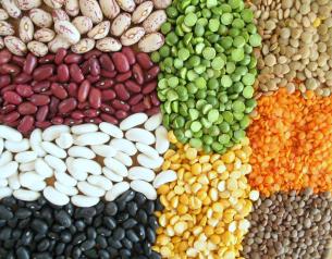 Indian Cooking 101: Different Types of Indian Dals (Legumes, Lentils,  Beans, Pulses)