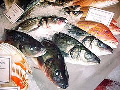 2006_harrods_fish