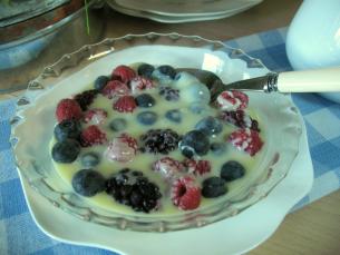 White chocolate and frozen berries